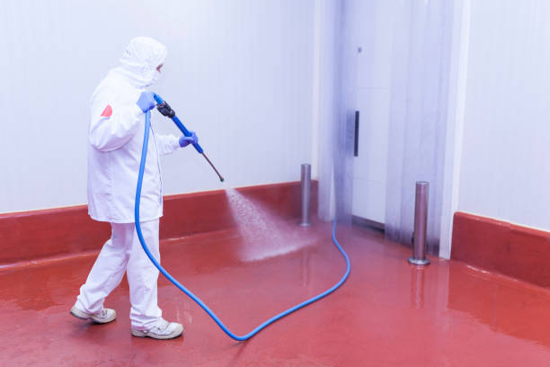 Best Driveway Pressure Washing  in Gananda, NY